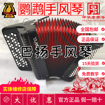 Parrot Bayan accordion 8 12 60 96 Bass Bayan beginner exam Professional performance