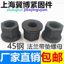  Flange with pad nut Hexagon with pad nut M8M10M12M16M18M20M24-M36 Mold platen nut