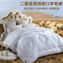 Hengyuanxiang Australia imported 100 wool thick warm quilt universal Four Seasons winter quilt double spring quilt core