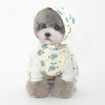 Autumn and winter new cotton corduroy pet dog hat Teddy than bear Bomei cat hat tide pet jewelry