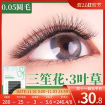 Sansheng flower flowering eyelashes finished flowering clover super soft Camellia grafting planting eyelashes one second flowering