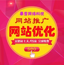 Website homepage whole station optimization baidu included Sogou seo ranking 360 keyword photo recovery headline promotion