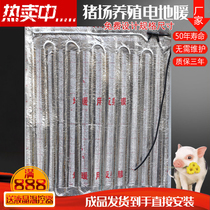 Electric floor heating carbon brazing heating wire piglet electric heating plate thermostat switch pig farm equipment carbon brazing heating cable