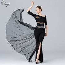 Body dance costume practice waist seal new belly dance performance clothing waist chain modern rhinestone mesh long belt
