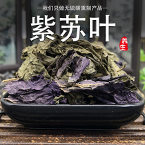 Perilla leaves 500 grams of robed fish shrimp and crabs to dry Hebei fresh edible fishy Chinese herbal medicine tea feet free grinding powder