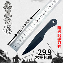 Outdoor knife straight flying training knife heavy head leggings high hard son martial arts dart needle hidden weapon self-defense target