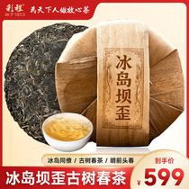 Zhengzong Iceland Dam Crooked Puer Tea Seven Pie Ancient Tree Material Head Spring Picking Overall Shoots Shell to Ling Tea C2