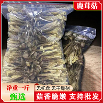 Antler mushrooms dry goods Net weight 500g New goods Mushroom Pot Soup Ingredients Antler Bacteria Crunchy Mushrooms Fujian Terrotteria