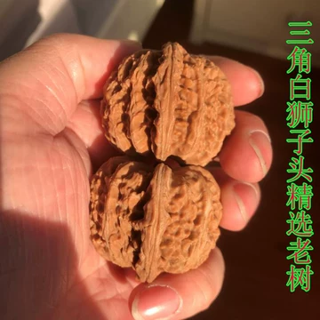 三角白狮子核桃-三角白狮子核桃促销价格、三角白狮子核桃品牌- 淘宝