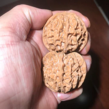 狮子头文玩核桃42mm-狮子头文玩核桃42mm促销价格、狮子头文玩核桃42mm