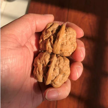 三角蛙核桃-三角蛙核桃促销价格、三角蛙核桃品牌- 淘宝