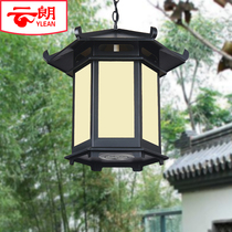 Modern Chinese antique waterproof outdoor landscape garden lamp villa garden hotel balcony lantern hanging lamp