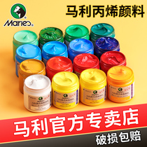 Marley brand acrylic pigment does not fade waterproof wall painting special 100ml sunscreen White 500ML large bottle dye painting painting material textile diy hand painting shoes Bingxi tool set