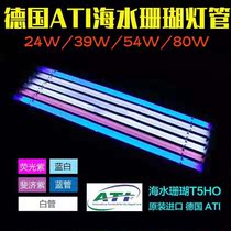 Germany ATI T5HO seawater lamp Blue blue white Fiji purple fluorescent purple 24W 39W 54W 80W