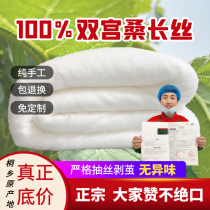  Special-grade double-palace silk 100 mulberry silk quilt single double quilt core winter quilt with thickened full cotton spring and autumn