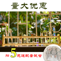 Wooden colorimetric tube rack 6 12-hole hydroponic flower glass test tube rack sample display double-layer wooden frame specifications complete