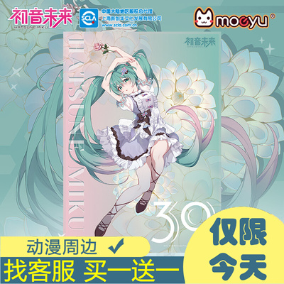 taobao agent Vocaloid, three dimensional commemorative poster, Birthday gift, 3D