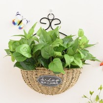 Pastoral straw woven rattan wall hanging flower basket restaurant wall decoration pendant green plant flower wall hanging basket woven flower pot