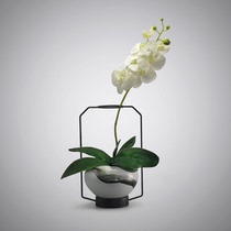 Modern wrought iron Chinese living room creative ceramic vase ornaments crafts Phalaenopsis flower arrangement dried flower soft decoration