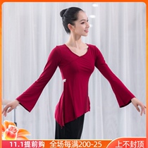Classical dance disc buckle trumpet sleeve top body art test rhyme uniform wear thin Chinese style folk dance costume female