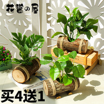 Simulation plant Nordic fake green radish potted plant creative succulent green plant decoration living room desktop small ornaments indoor bonsai