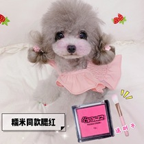 Sticky Rice Face Egg Powder Pink Secret Pet Blush Quick Dyeing Color Box Pooch Disposable Dyeing Cream