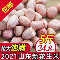 2021 Shandong Province fresh pink skin shelled large grain raw peanut 5kg farm Super Crazy promotion