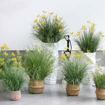 Simulated green plants full of stars and grass Nordic ins net red bionic plants indoor living room shop window scenery corner