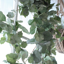 Sicily Nordic simulation plant Begonia leaf hanging vine hanging green plant air conditioning pipe winding decorative Vine Vine Vine