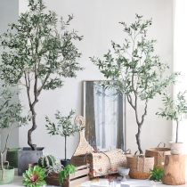 Sicily ins Nordic simulation green plant potted olive tree floor-to-ceiling large plant Home office window display