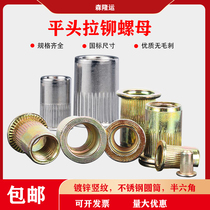 Flat head rivet nut Press D iron nut Rivet pull female pull cap Stainless steel copper galvanized M3m4m5m6m8m10M12