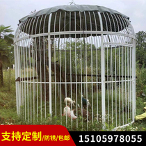 Park scenic iron large peacock cage viewing wedding decoration props Bird cage decoration outdoor large bird cage