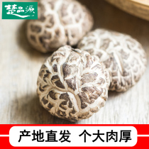 Chu Pinyuan big flower mushroom one kilogram of farm dried goods specialty dried shiitake mushrooms cut-foot shiitake mushrooms dried mushrooms new 500g
