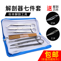 Biological dissector seven-piece set of four-piece stainless steel insect needle dissection needle dissection cutter dissection disc blade knife handle Medical biology laboratory supplies tool set specimen making tweezers
