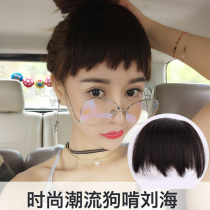 Wig female dog gnaw bangs Retro Hepburn Liuhai wig film Two-dimensional invisible incognito bangs Japanese trend