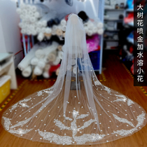 New Bride wedding ceremony main wedding dress long tailing head yarn Mori Net red photo props simple white veil