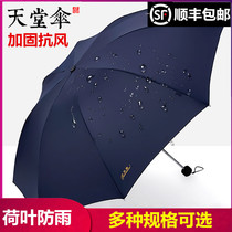 Paradise Umbrella Sunshine Umbrella Increase Reinforcement Umbrella Sunshine Umbrella parasol Men and Women Sunny Umbrellas