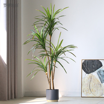 Roman mother Nordic simulation green plant bonsai fake potted Dracaena ins plant soft floor decoration