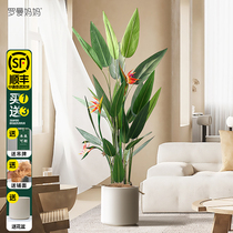 Roman mother Nordic style simulation big plant landing bonsai auspicious bird of paradise bird of paradise indoor home decoration
