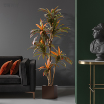 Roman mother simulation plant red edge iron fake green plant potted light luxury large living room indoor floor decoration decoration