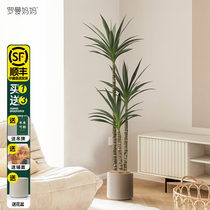 Roman mother simulation plant potted bionic sisal tree Nordic style home green plant floor decoration fake tree decoration