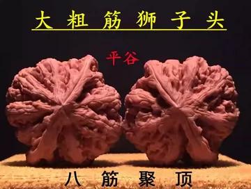 大粗筋文玩核桃-大粗筋文玩核桃促销价格、大粗筋文玩核桃品牌- 淘宝