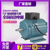 SF axial fan motor 380V 220V strong fan motor Industrial pipe exhaust dust removal exhaust fan