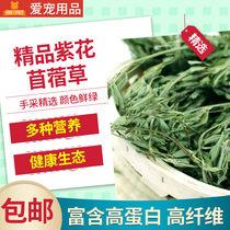 New boutique purple alfalfa rabbit food rabbit chinchilla Dutch pig rabbit green fresh forage gross weight 1kg