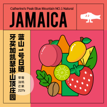 {New product} FISHER Jamaica officially authorized Blue Mountain No. 1 Sun boutique hand-made coffee beans 227g