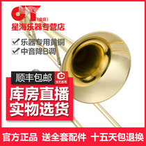 Xinghai golden sound JYTB-E100 midrange B pull tube trombone lacquer trombone instrument