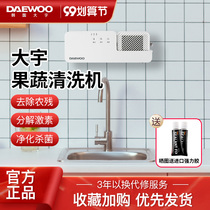 Korea Daewoo Fruit and Vegetable Guards Wall-mounted Washing Machine Household Vegetable Washing Machine Automatic Fruit Food Purification artifact