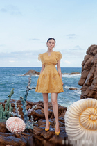 2021 temperament wedding banquet birthday dress small dress French light luxury niche high-end Vietnamese brand dress
