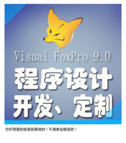 VFP (foxpro) 6 0 9 0 Programming) Database design) Custom development) Query design