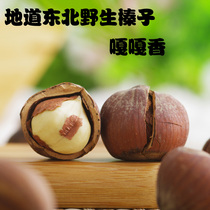 Northeast wild hazelnut dried fruit nuts Heilongjiang Yichun small hazelnut fried fire hazelnut 500g open original flavor